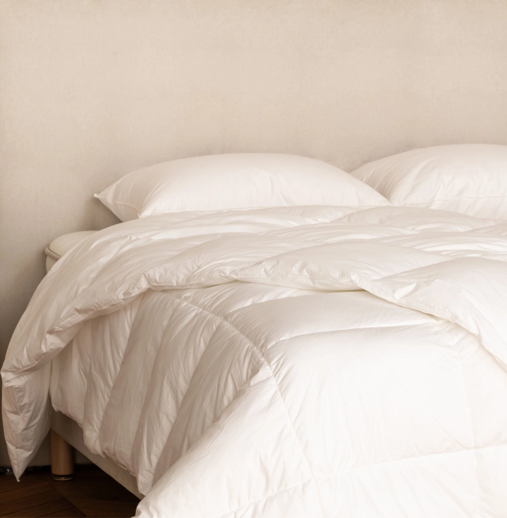 Ensembles oreillers et couette